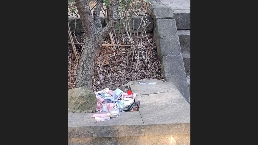 苗栗市公園驚見大量黃金與紙鈔丟在樹叢 初估價值達「500萬」！