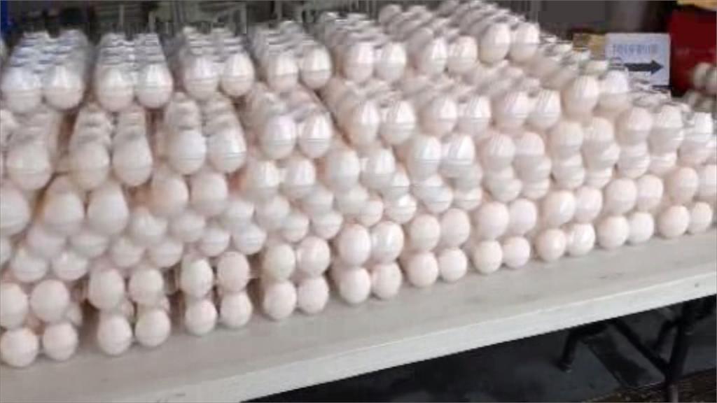 雲林募2萬顆雞蛋供民眾購買。圖／台視新聞