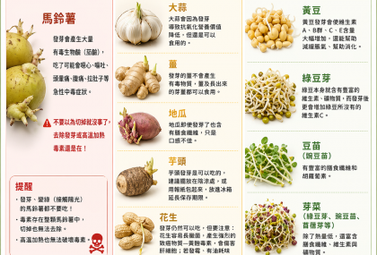 發芽還能吃嗎？「10種食物」一圖秒懂  地瓜、芋頭、馬鈴薯很多人搞錯
