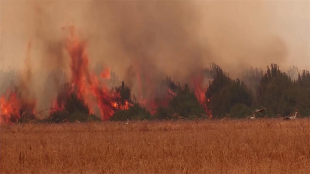 全球多國遭熱浪侵襲，造成各地野火狂燒不止。圖／畫面攝自AP