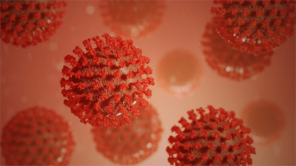 英國研究顯示，普通感冒誘發的T細胞，有助於降低感染新冠肺炎的風險。圖／翻攝自Pixabay