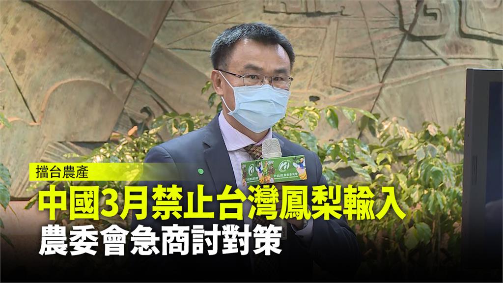 農委會主委陳吉仲召開記者會，針對中國禁止台灣鳳梨進口一事，做出最新回應。圖：台視新聞