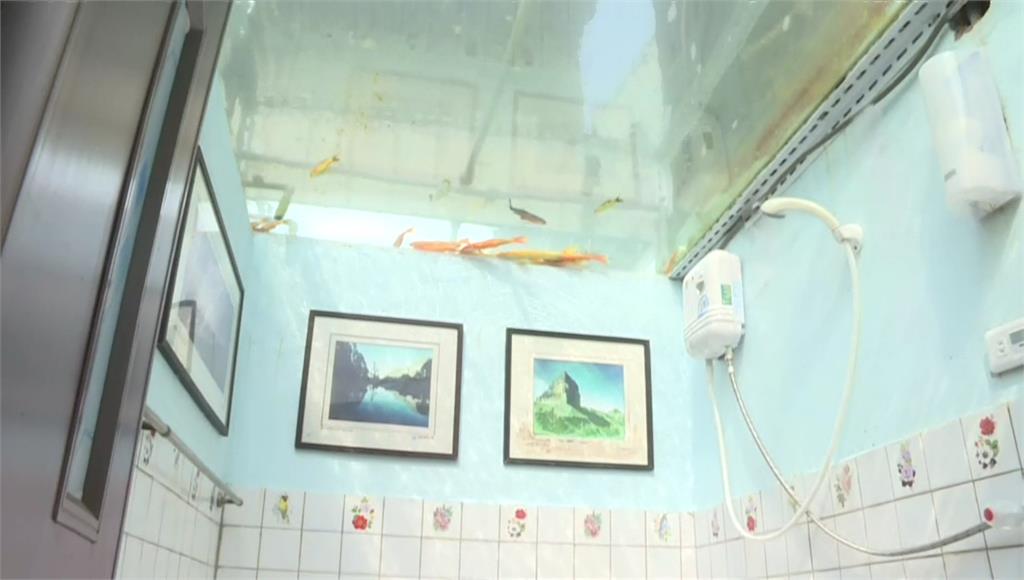 民宿浴室有「天花板魚缸」，藏著兒子對母親的孝心。圖／台視新聞