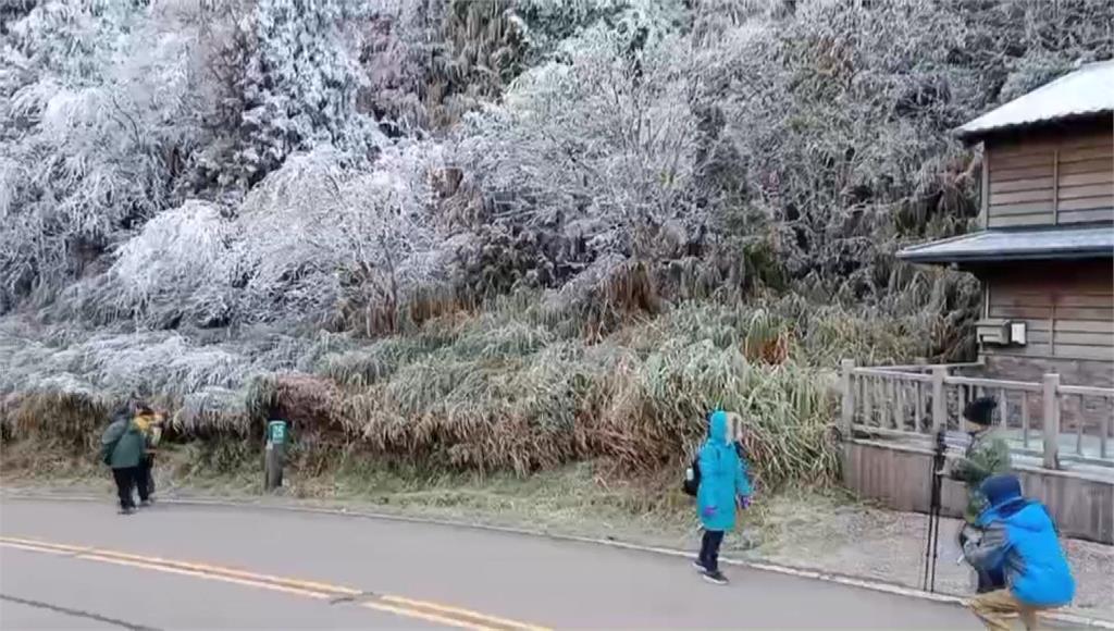 宜蘭太平山雲海+霧淞美景 宛如人間仙境