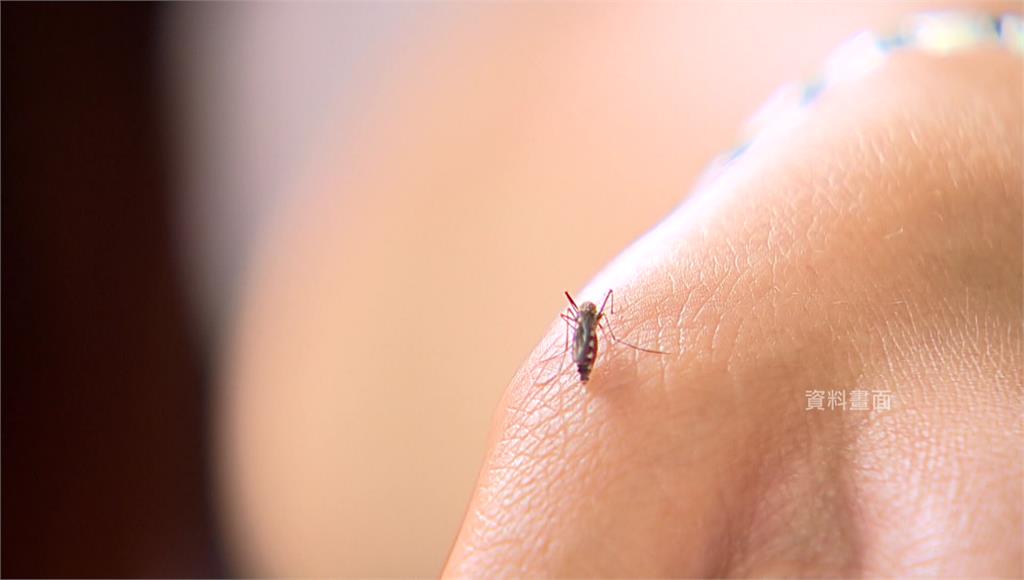 新北首例本土登革熱病例現蹤 疾管署：感染源仍待釐清