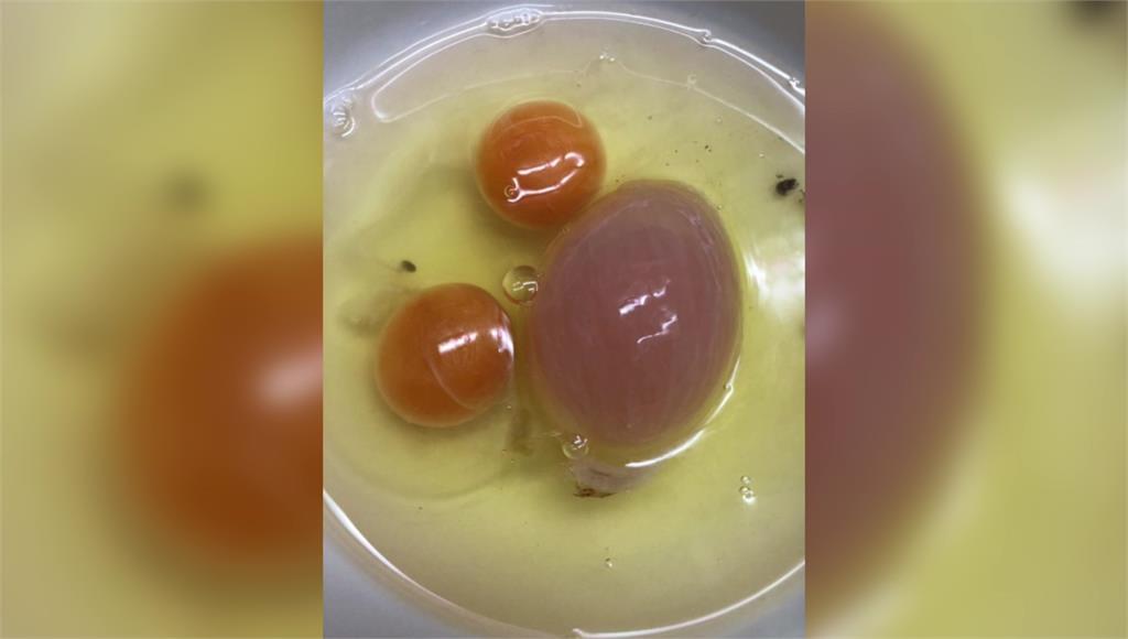 一名網友驚呼打蛋時，竟出現三顆蛋黃。圖／翻攝自網路