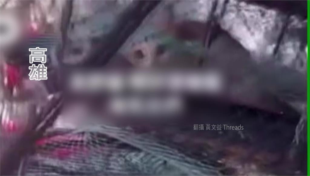 不滿偷吃魚肉.亂大小便 漁民怒「浸豬籠」丟2貓入海：淹死你們