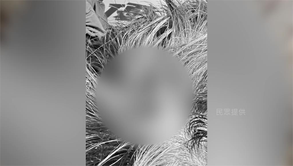 童遊樂園遭石砸破頭！血流不止遭縫三針 家長怒控校方延誤處理