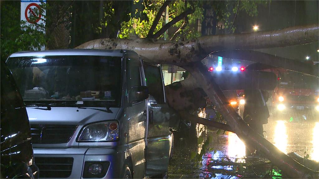 暴雨強風吹倒路樹 女騎士遭壓傷送醫