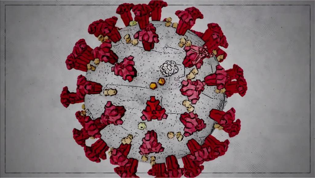 棘突蛋白是冠狀病毒最顯著的特徵，也容易發生棘突突變。圖：AP