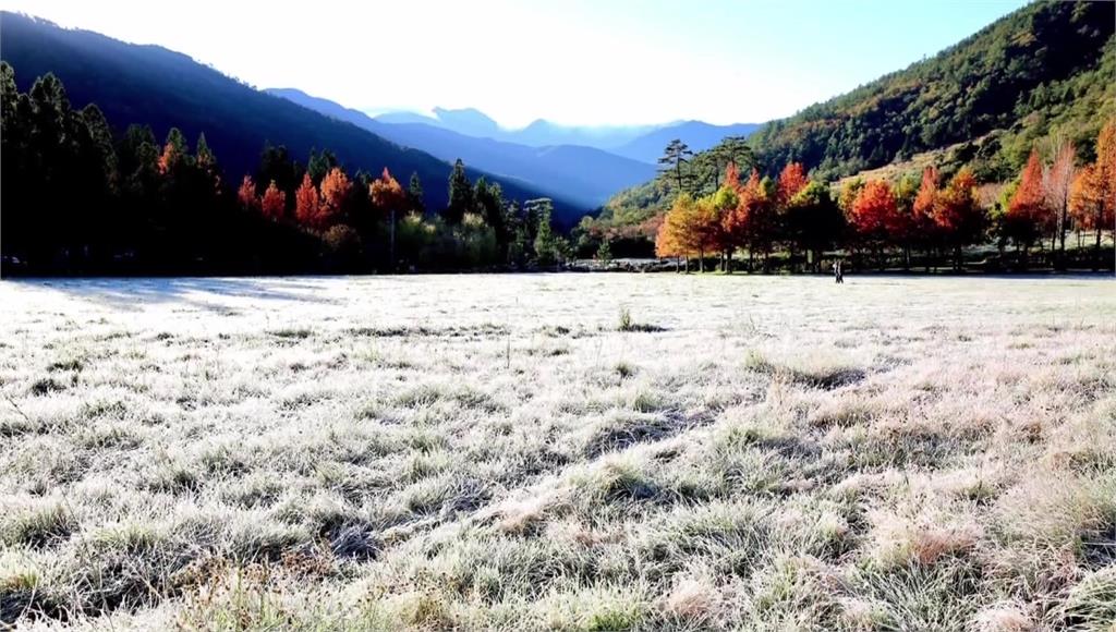 武陵農場低溫降到攝氏零下兩度，草園地面結上一層白霜。圖／台視新聞
