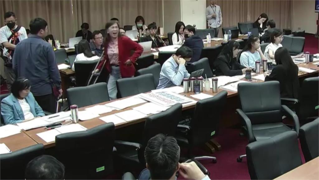 電競法初審掀藍綠戰火！林宜瑾飆粗話離場 羅廷瑋：妳怎麼學傅崐萁