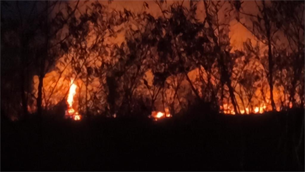 今年第4次！台東知本濕地再傳火警 燃燒面積逾3公頃