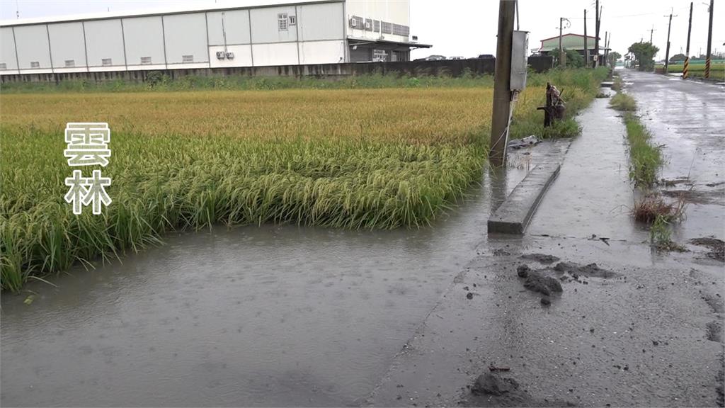 梅雨助中部水情 雲林連日降雨導致農損