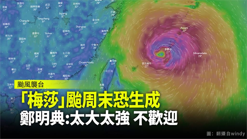 第9號颱風「梅莎」有機會在周末生成。圖：Windy.com