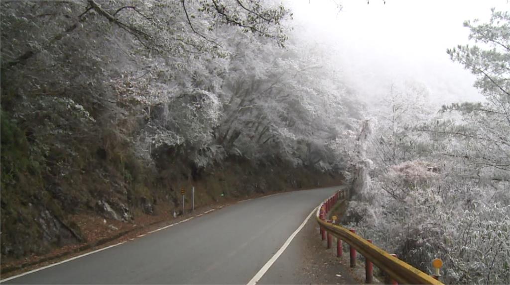 中橫台8線金馬隧道 雪白霧淞美景遊客駐足