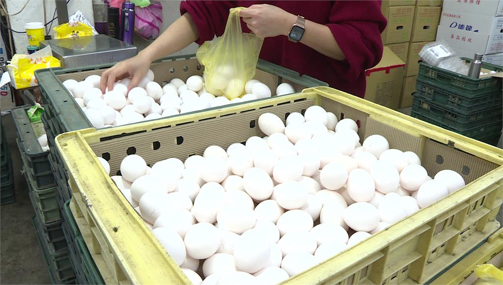 農業部擬降進口雞蛋關稅，由貿易商解決缺蛋問題。圖／台視新聞