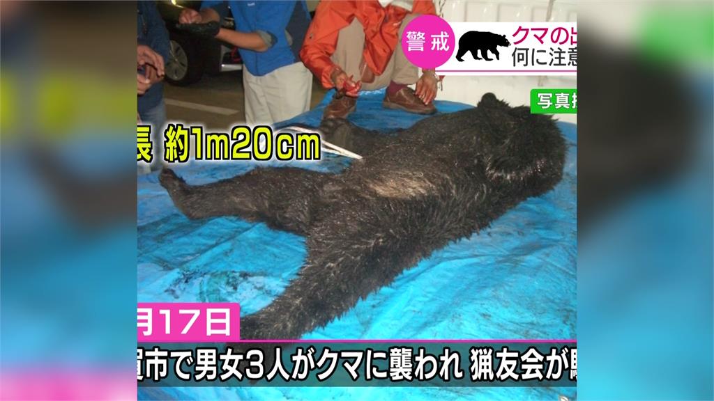 黑熊闖入商家後被獵人與警方圍捕。圖：翻攝自NHK
