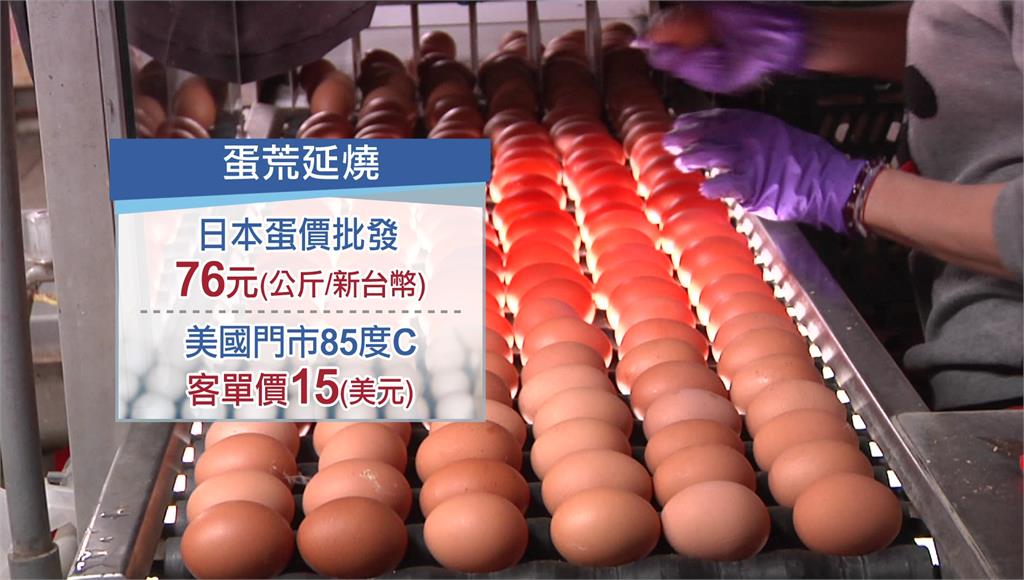 美國、日本也鬧蛋荒，日本蛋價1kg台幣76元創高。圖／非凡新聞