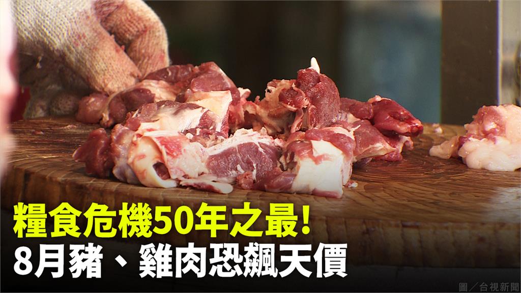 糧食危機50年之最！8月豬、雞肉恐飆天價