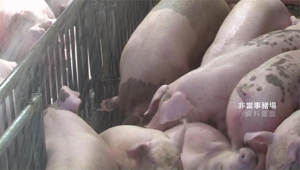 台灣重回非疫區時程未定 陳駿季：確認防範完善才申請