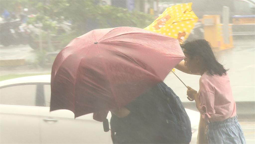 松山機場航警局路樹倒塌 路旁車輛遭殃