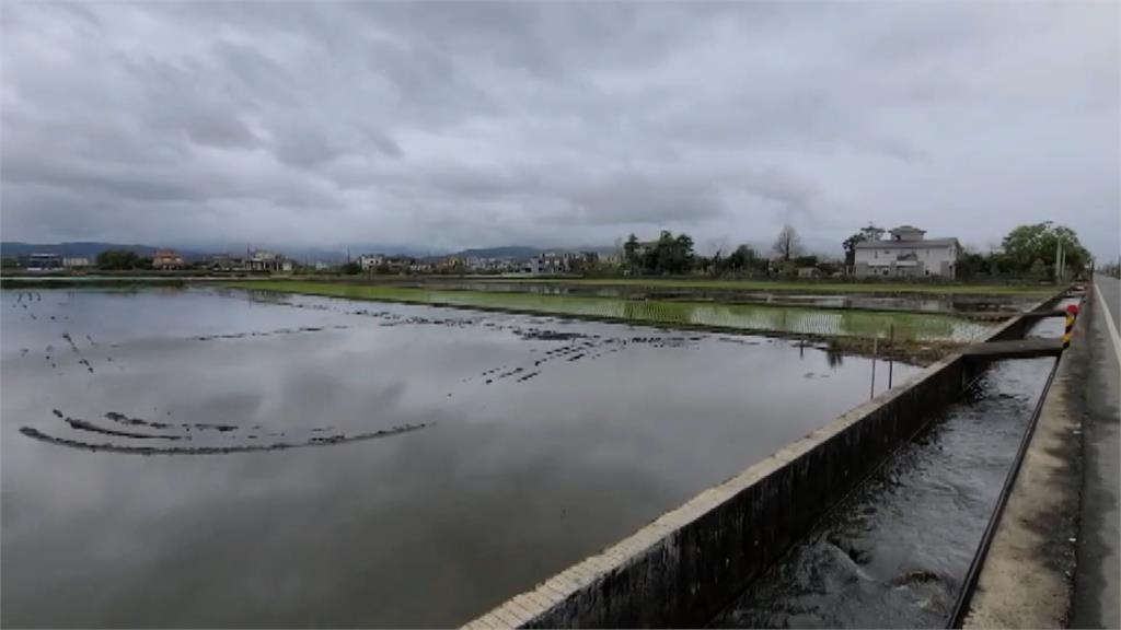 宜蘭颳起強陣風 網友驚呼：以為颱風來