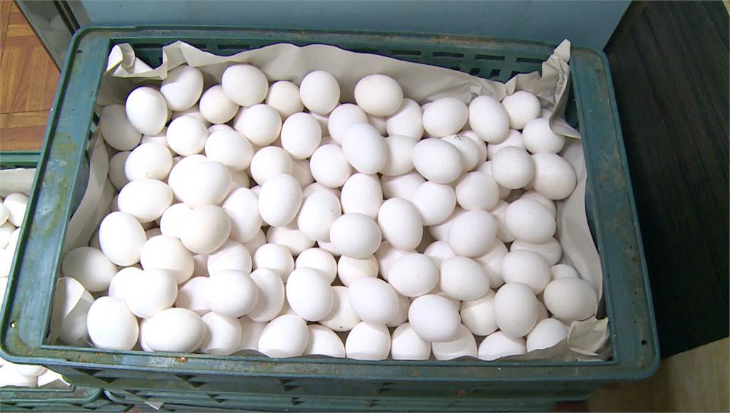 近期雞蛋價格上漲每台斤2元。圖／台視新聞