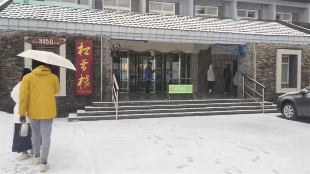 迎接銀白美景！合歡山今晨降冰霰、冰雹 低溫下探1.3度