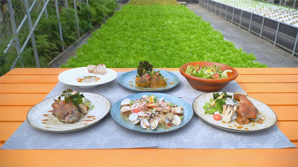 友善環境溫室餐廳 鮮採食材與自然共好