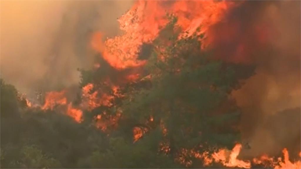 島國賽普勒斯上週末發生森林大火，火勢到現在還沒有完全獲得控制。圖／翻攝自AP Direct