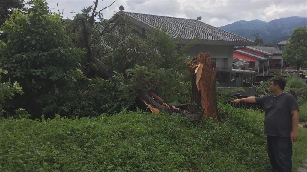 比颱風還可怕！山區狂風暴雨 斷樹壓教室