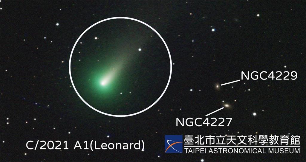 雷納德彗星12月12日至14日，為最亮的時間。圖／台北市政府提供