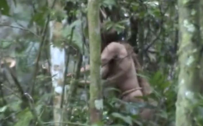 「洞人」生前曾被拍到在林間穿梭。圖／翻攝自國際生存者組織官網