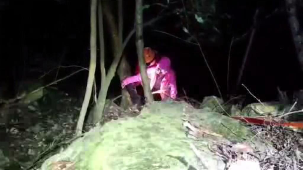 一名65歲劉姓婦人攀爬東卯山時不小心摔落邊坡，頭部和身體多處受傷。圖／台視新聞