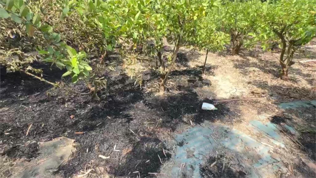 疑「放炮趕猴群」跌火場 高雄7旬婦被尋獲明顯死亡