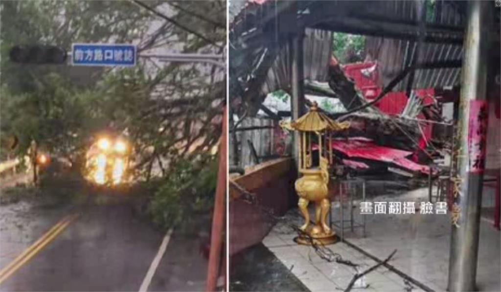 台中東勢台8線10.5公里處一棵大榕樹倒塌，砸毀一旁宮廟屋頂。圖／翻攝自臉書