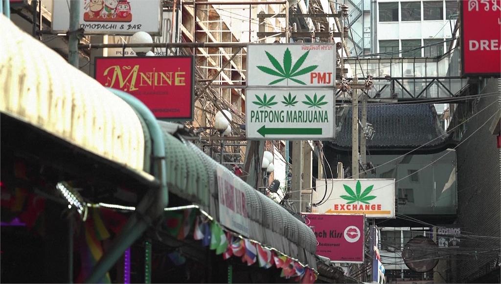 泰國今年底擬全禁娛樂用大麻。圖／美聯社、路透社