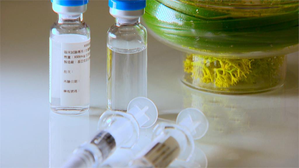 林氏璧對高端疫苗三期試驗在巴拉圭與台灣2邊的補助金差異，提出說明。圖／台視新聞
