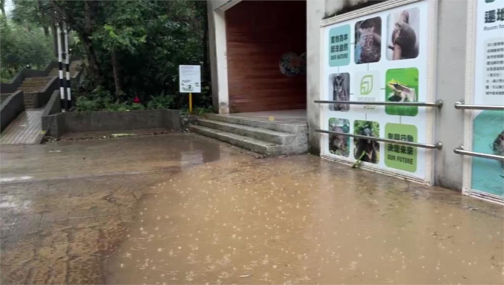 連日降雨！北市動物園淹水、天花板塌陷 兩區暫停開放