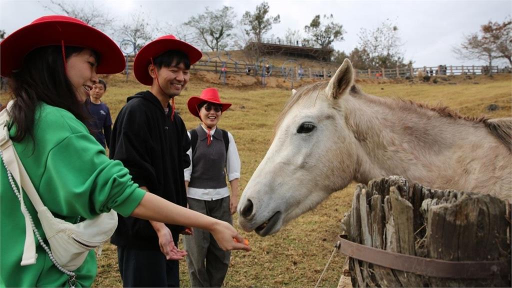2歲童被馬咬傷！清境農場逆轉敗判賠71萬元 高院認人員.設備管理欠缺