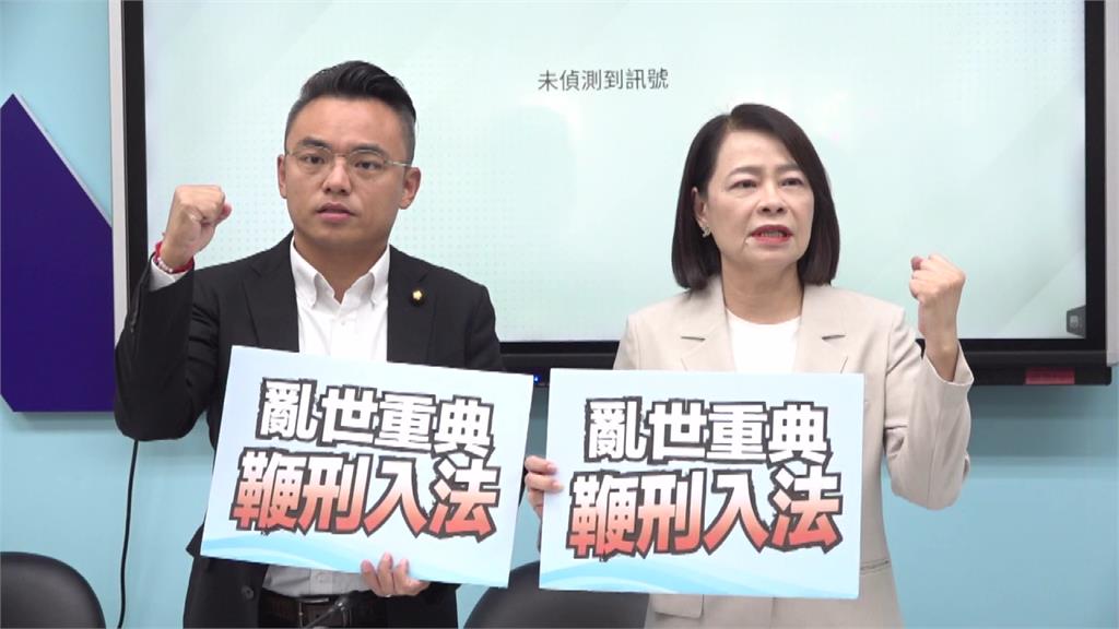 公投遭駁回後 藍營再出招拋修法「鞭刑入法」最多12下
