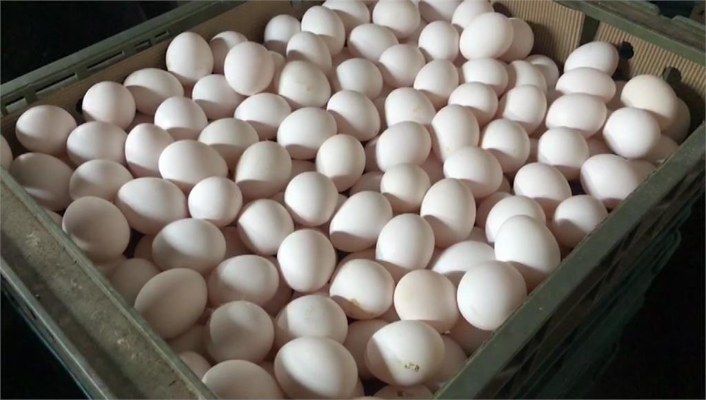 消息傳出雞蛋產地價每斤將調漲2元。圖／台視新聞