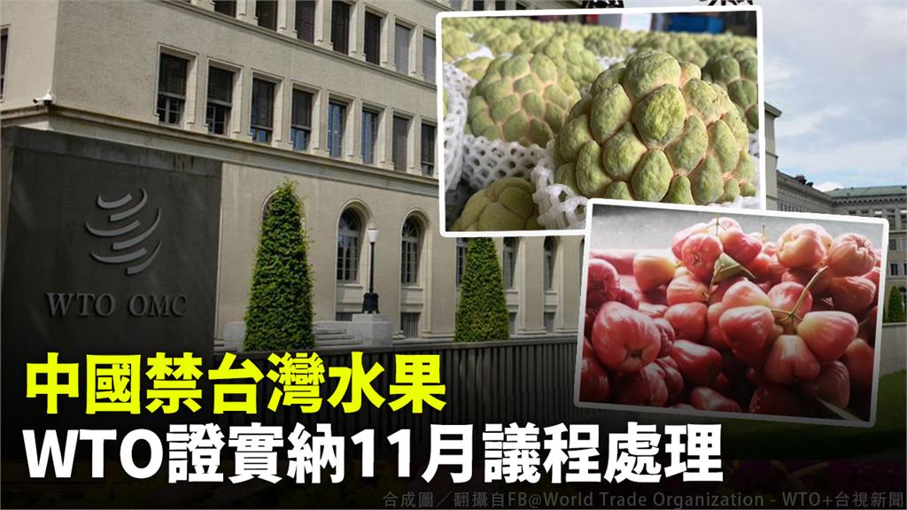 WTO證實中國禁台灣水果議題列入例行會議。圖／翻攝自FB@World Trade Organization - WTO