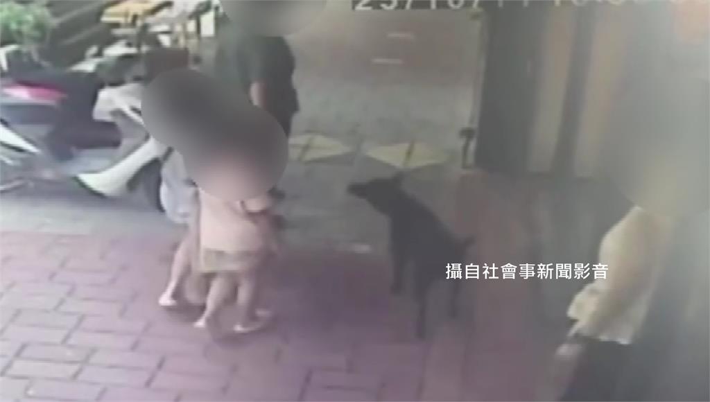 三義木雕街門口黑狗突衝出攻擊！2女童遭咬傷 母嚇...