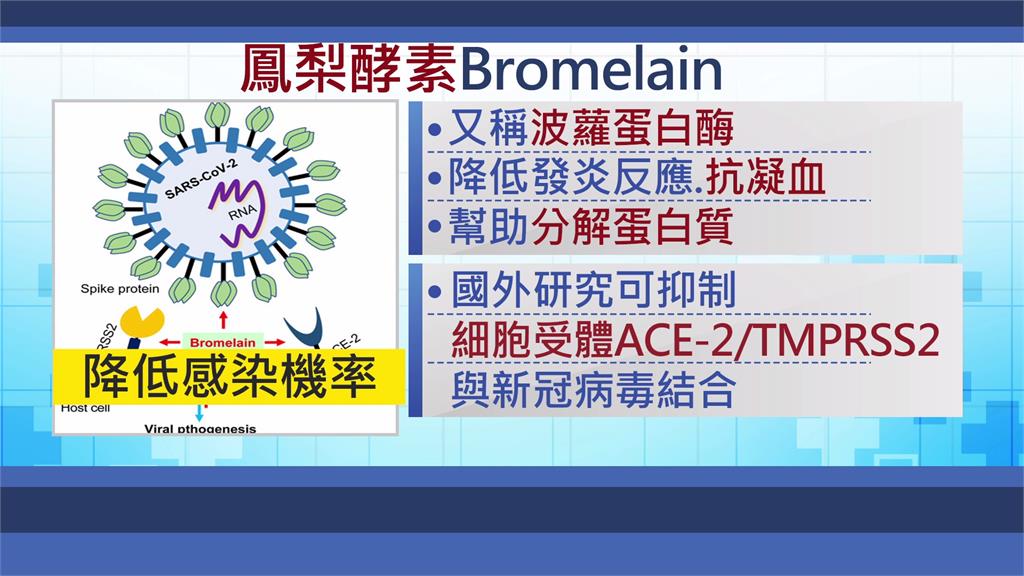 鳳梨莖部萃取酵素 國外研究：降低感染新冠肺炎