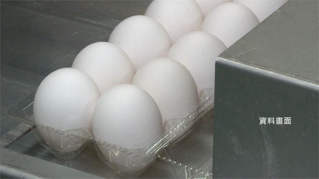 台北市營養午餐一律使用國產蛋。示意圖／台視新聞