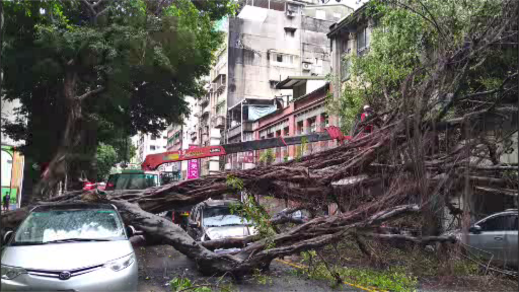 台北市大同區永樂國小旁路樹倒塌。圖／台視新聞