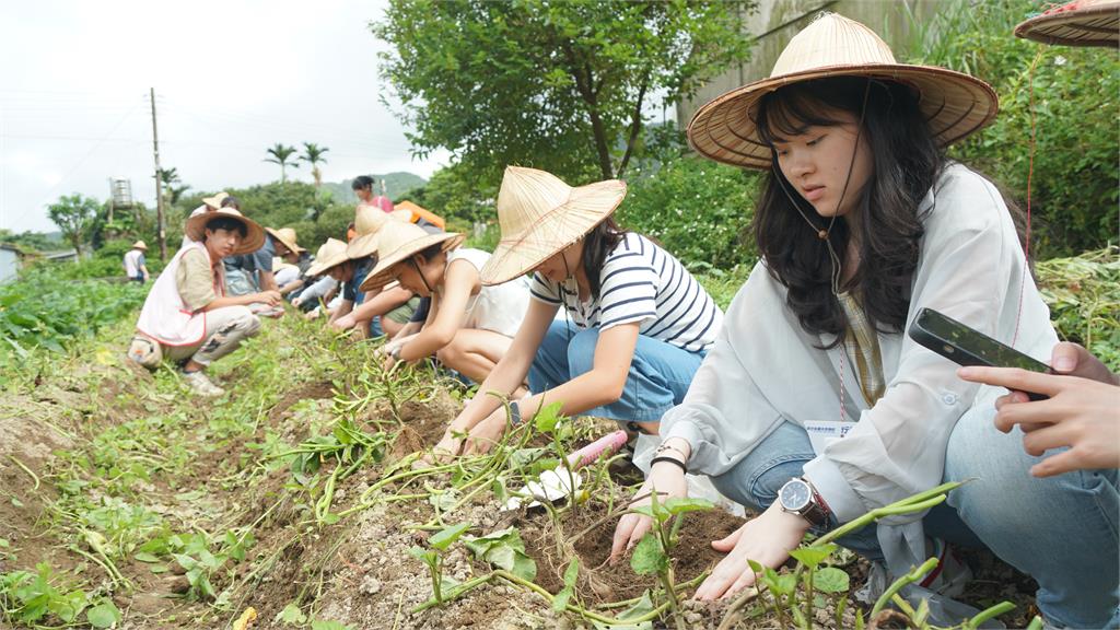 從淨灘到循環經濟 「新北永續未來學院」邀學子共創綠色未來