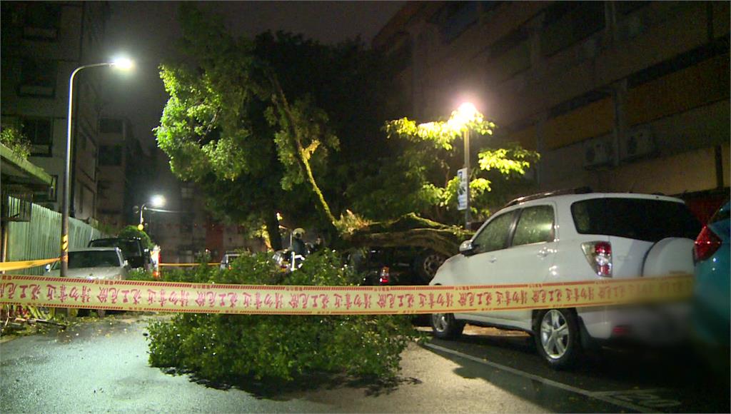 瑪娃颱風外圍環流影響，台北信義區福德街路樹受不了強風大雨倒塌。圖／台視新聞